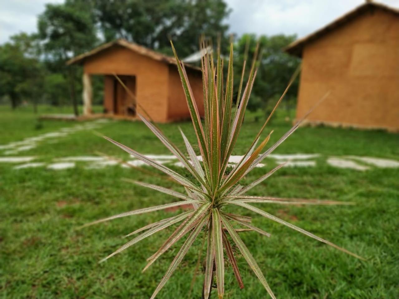 Pirenópolis Recanto Do Baru מראה חיצוני תמונה