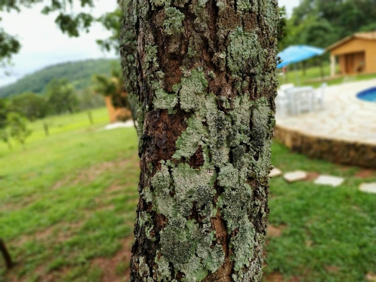 Pirenópolis Recanto Do Baru מראה חיצוני תמונה