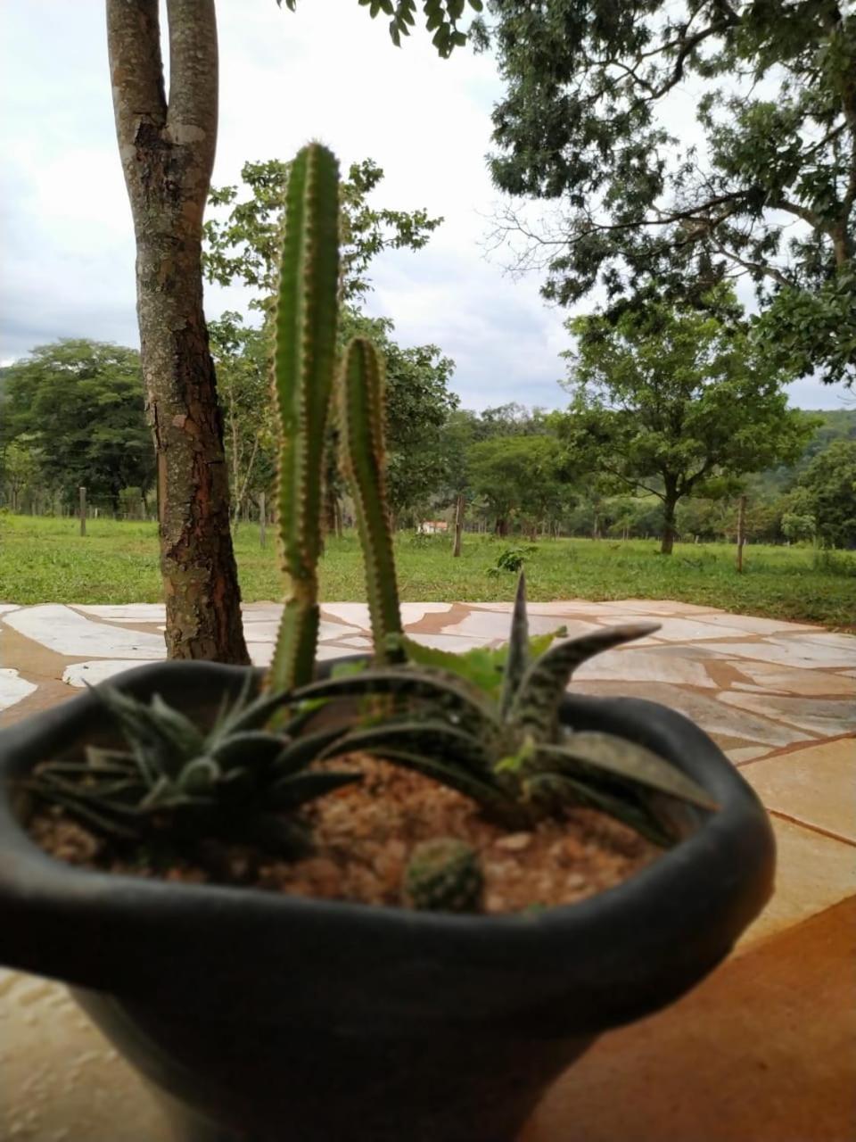 Pirenópolis Recanto Do Baru מראה חיצוני תמונה